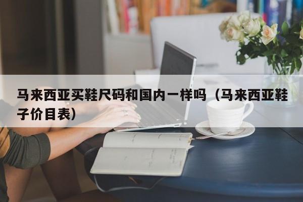 马来西亚买鞋尺码和国内一样吗(马来西亚鞋子价目表)