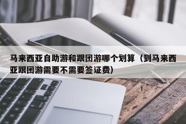 马来西亚自助游和跟团游哪个划算(到马来西亚跟团游需要不需要签证费)