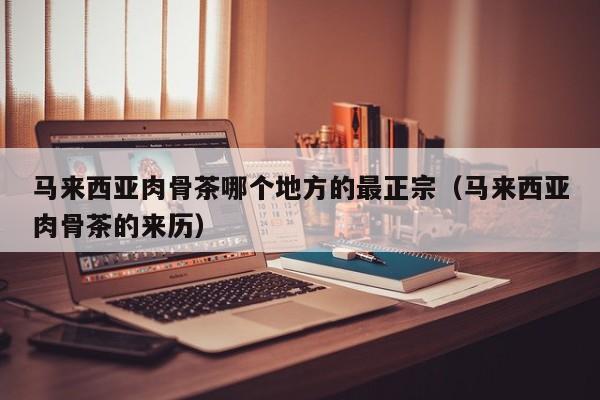 马来西亚肉骨茶哪个地方的最正宗(马来西亚肉骨茶的来历)
