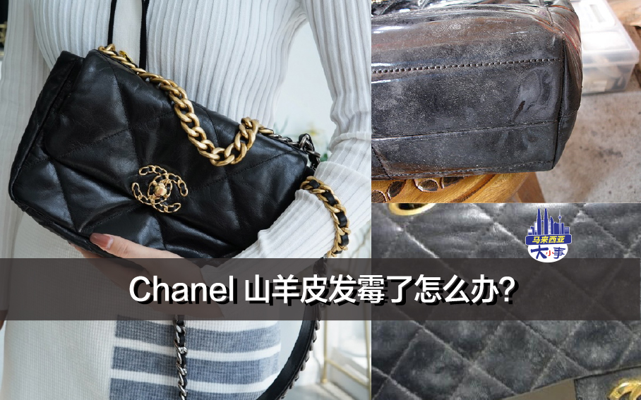 Chanel 山羊皮发霉了怎么办？