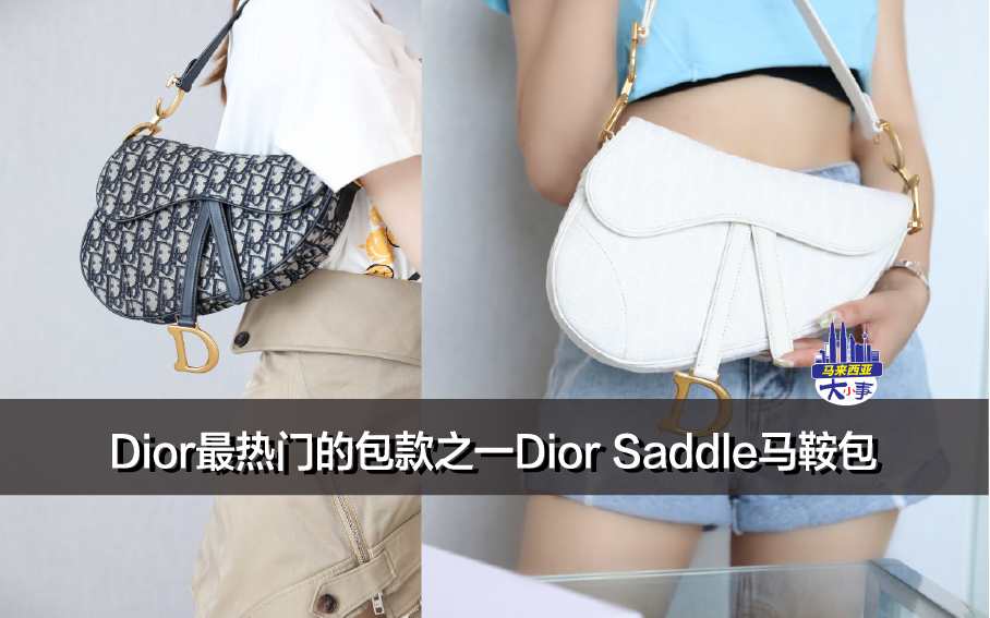 Dior最热门的包款之一Dior Saddle马鞍包