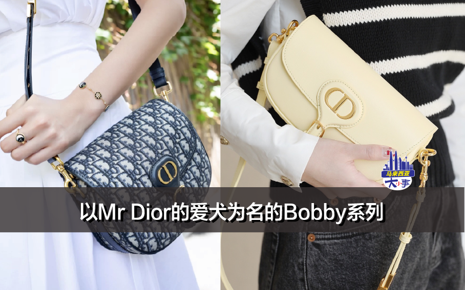 Dior包包大合集｜以Mr Dior的爱犬为名的Bobby系列