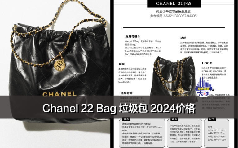 Chanel 22 Bag 垃圾包 2024价格