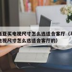 马来西亚买电视尺寸怎么选适合客厅（马来西亚买电视尺寸怎么选适合客厅的）