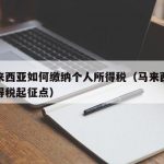 在马来西亚如何缴纳个人所得税（马来西亚个人所得税起征点）
