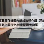 马来西亚乘飞机国内航线流程介绍（马来西亚坐飞机到中国几个小时需要转机吗）