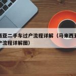 马来西亚二手车过户流程详解（马来西亚二手车过户流程详解图）