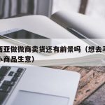马来西亚做微商卖货还有前景吗（想去马来西亚做小商品生意）