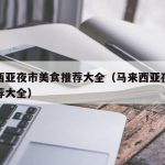 马来西亚夜市美食推荐大全（马来西亚夜市美食推荐大全）
