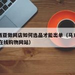 马来西亚做网店如何选品才能出单（马来西亚10大在线购物网站）